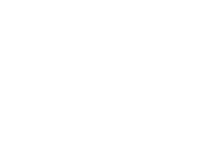 papa Johns
